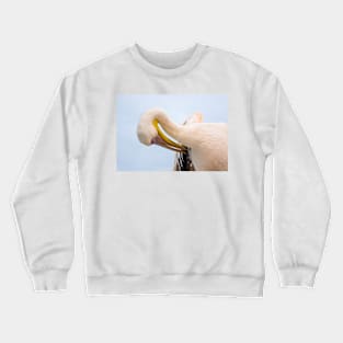 Pelican. Crewneck Sweatshirt